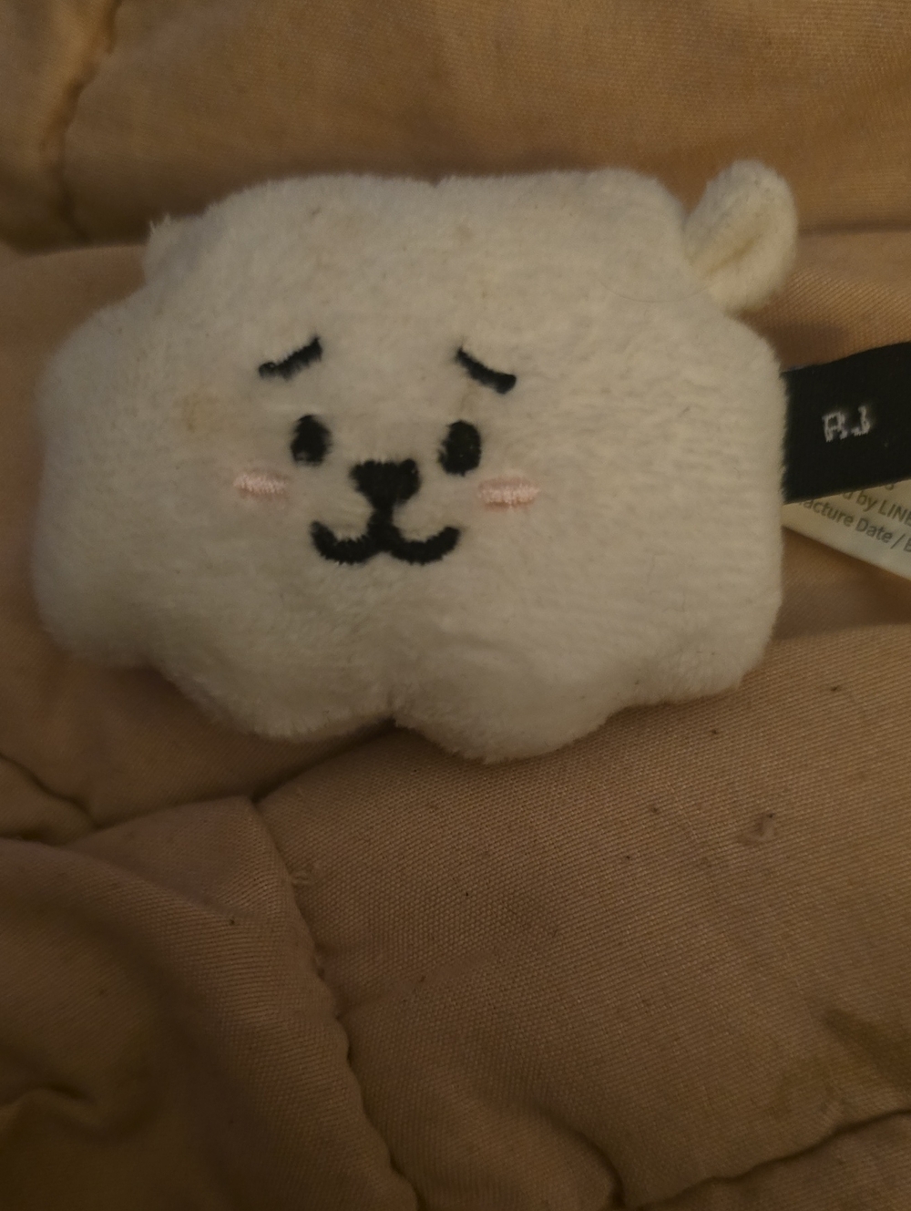 BT21 RJ Plush Magnet